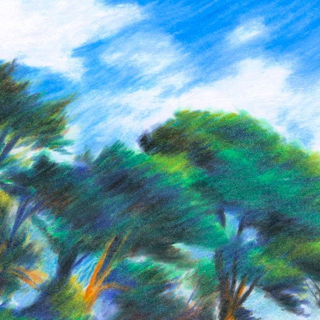 Trees and Blue Sky