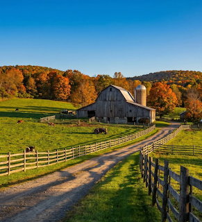 Gray barn on green hill surrounded by orange and red fall trees, dirt road and wooden fences in foreground