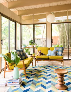 Mid Century Modern Interior Dog