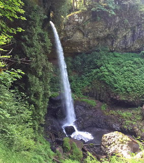 Forest Waterfall
