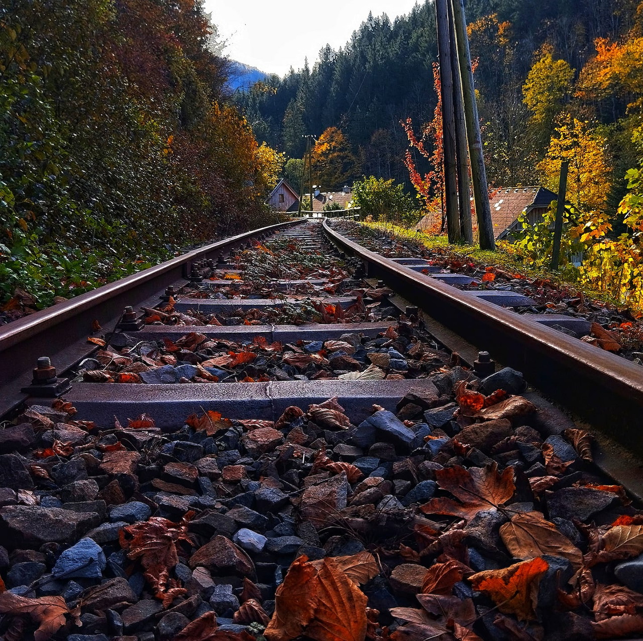 Railway tracks covered in autumn leaves winding through a forested mountain valley with golden fall foliage