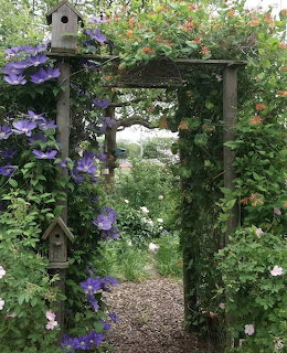 Wooden arbor draped with purple clematis and greenery, framing garden path with birdhouses