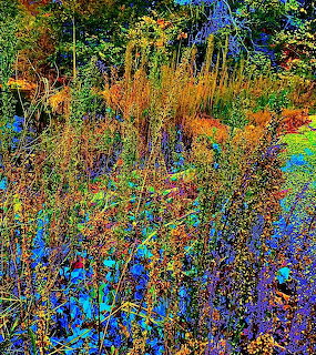 Psychedelic glitch art of forest with neon rainbow colors and digital distortion effects