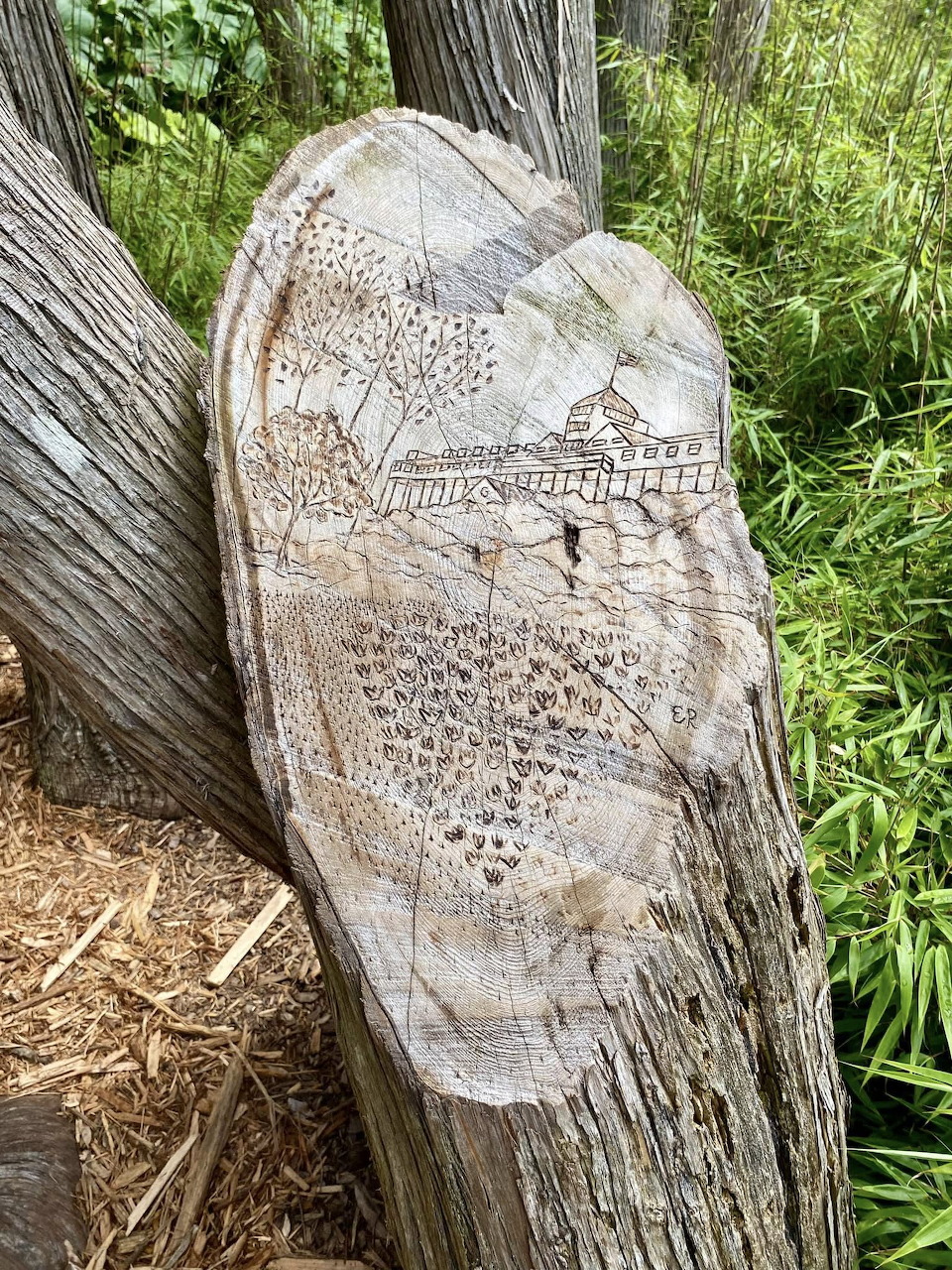 Mackinac Island Tree Stump