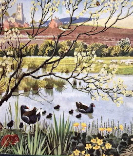 Spring River Ducks Illustration