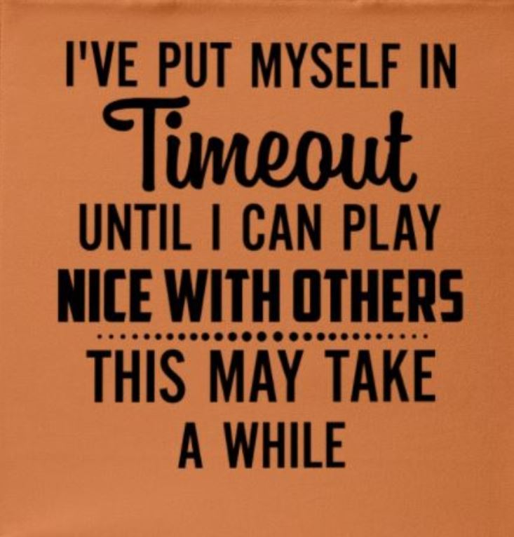 Orange shirt with black text: I've put myself in timeout until I can play nice with others. This may take awhile.