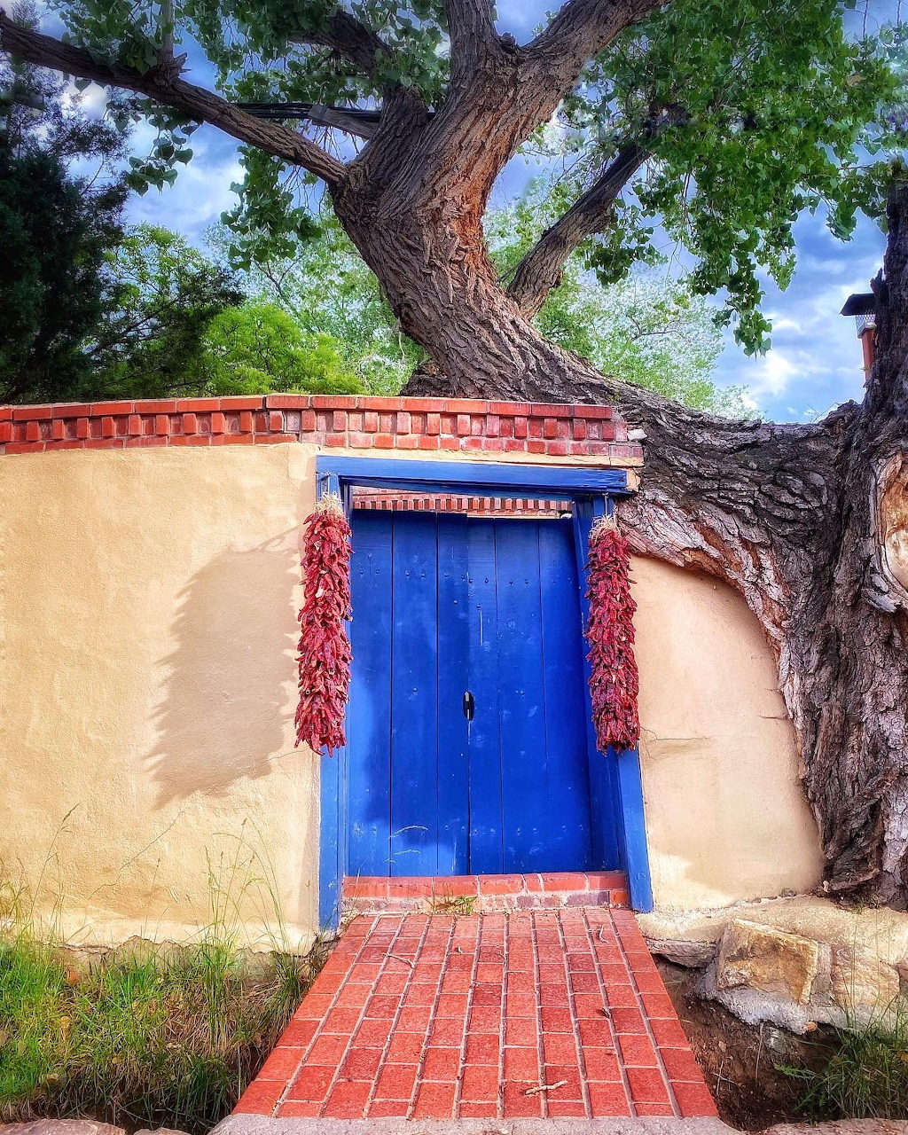 Bright blue door in adobe wall with red chile ristras and large tree, Santa Fe style
