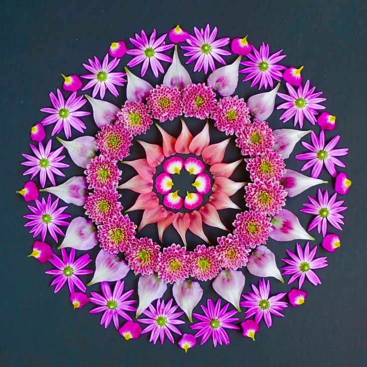 Circular mandala made of pink and purple flowers arranged in symmetrical geometric pattern