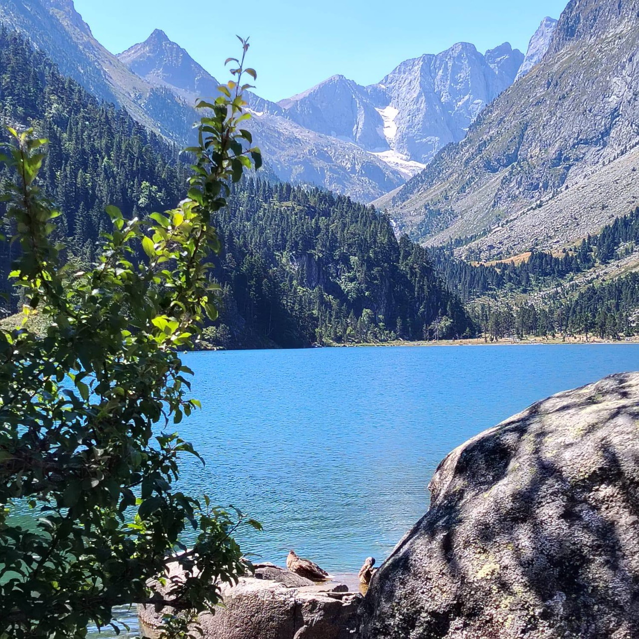 Blue alpine lake with forested mountains and a large sunlit rock in the foreground