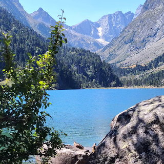 Pyrenean Lake View