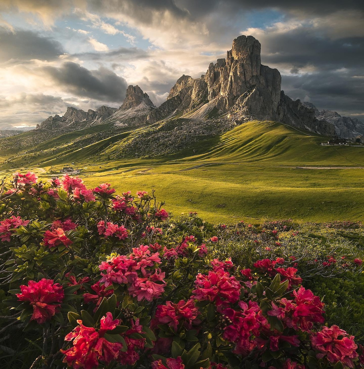 Dolomite mountain peaks with green meadows and pink flowers under dramatic sky