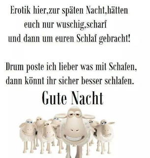 Group of cute cartoon sheep with German good night message text