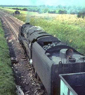 Black steam locomotive with coal tender moving along tracks through green rural countryside
