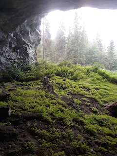 Cave Opening Forest View