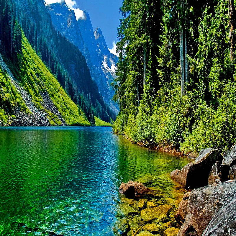Emerald green mountain lake with snow peaks, dense forest slopes, and rocky shore with driftwood