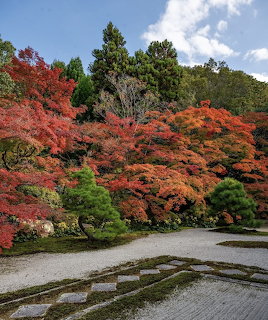 Japanese Garden Autumn Foliage