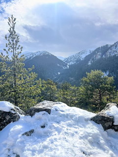 Snow-covered mountains with evergreen trees and rocks in foreground under cloudy winter sky