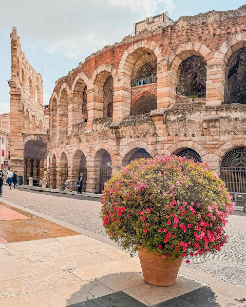 Roman amphitheater with multi-tiered arches and colorful flowers in terracotta pot