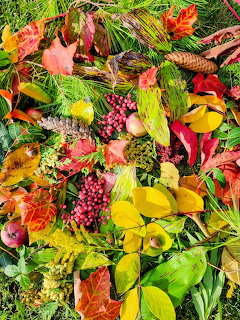 Autumn Leaves and Berries