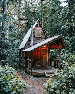 Forest Cabin in the Woods