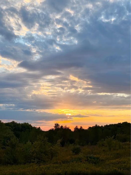 Colorful sunrise with dramatic clouds glowing orange and gold over a dark treeline and meadow