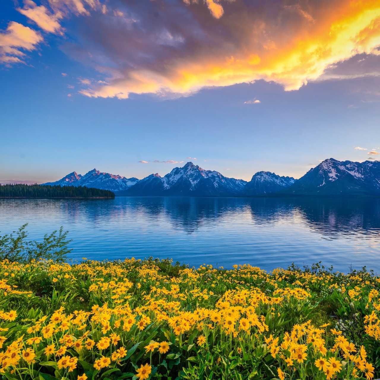 Yellow wildflowers by a calm lake with mountain peaks and glowing sunset clouds
