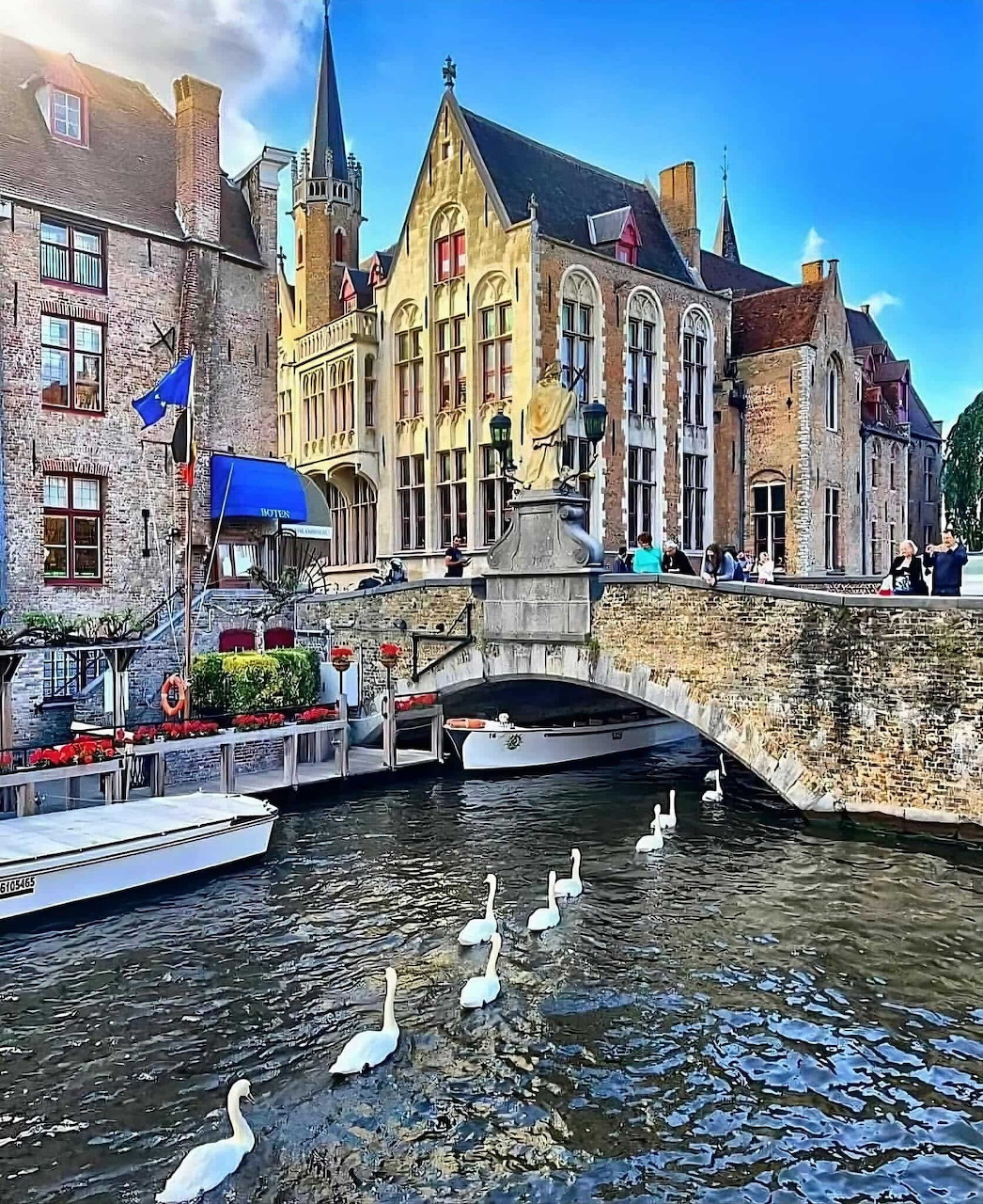 White swans on a canal in Bruges with medieval buildings and a bridge under blue sky