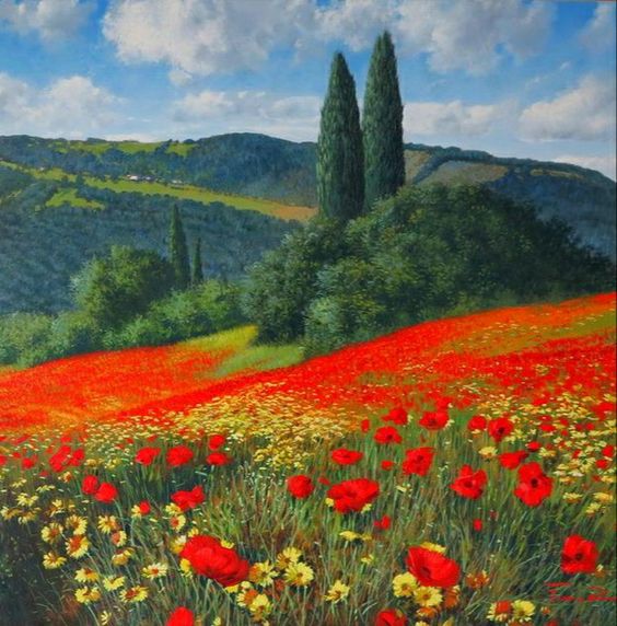 Red poppy field with cypress trees and mountains under blue sky