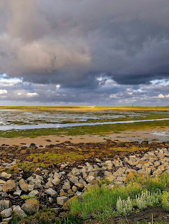 Dutch Waden Sea Mudflats