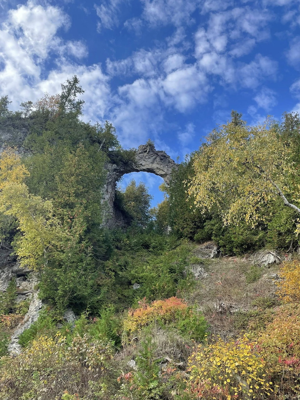 Natural stone arch on a cliff surrounded by green trees and wildflowers against a blue sky