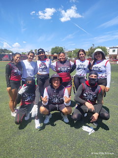 Group of women in sports uniforms posing together on a green field under blue sky