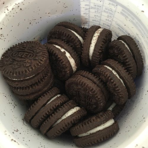 Oreo cookies with cream filling in a white speckled bowl
