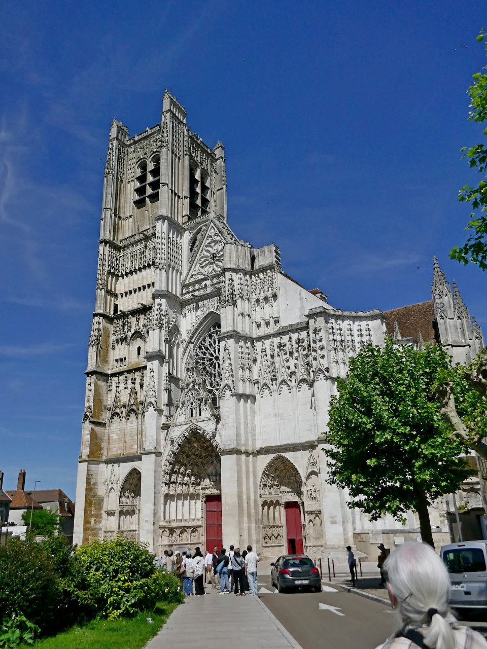 Gothic cathedral facade beside a street with trees, cars, and a blue sky
