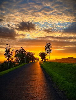 Country road lined with trees leading toward a golden sunset with dramatic clouds