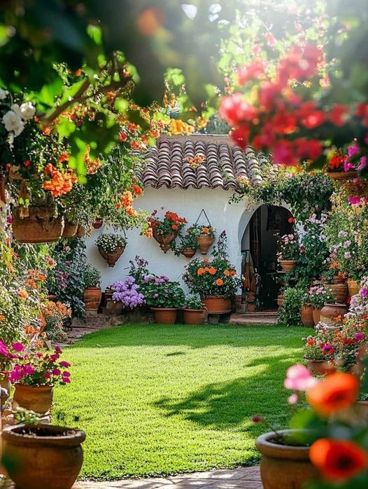 White cottage with flowers in pots and lush garden with green lawn
