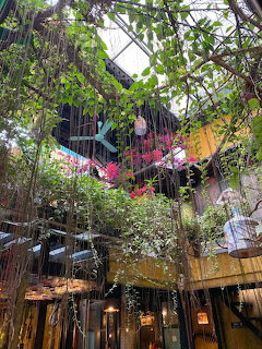 Open-air cafe courtyard with dense vines, hanging chairs, and wooden balcony levels under a glass roof