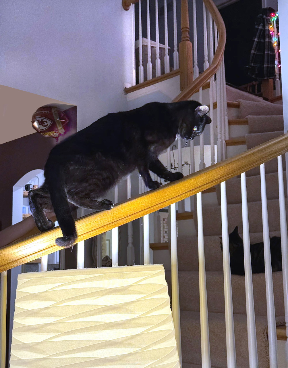 Black cat walking along a wooden stair railing inside a home