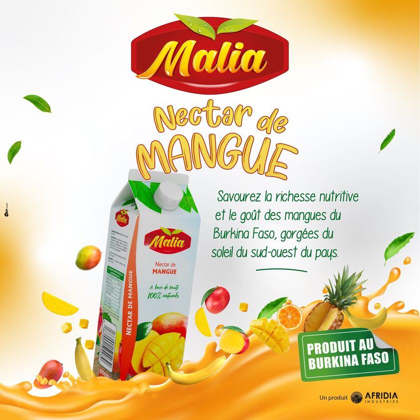 Malia mango nectar carton with fruit slices and orange juice splash illustration
