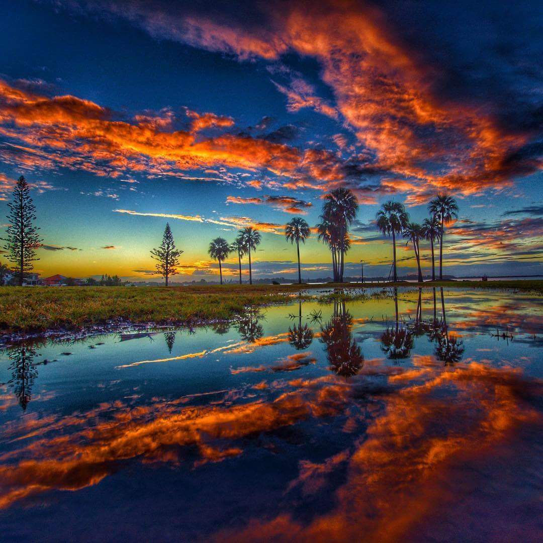Bright sunset clouds reflected in still water with silhouetted trees on a flat wetland