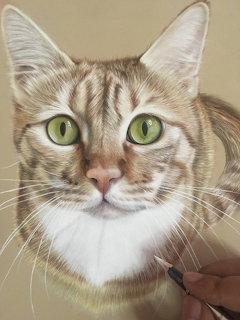 Realistic colored pencil drawing of a taby cat with green eyes and brown striped markings