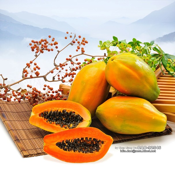 Fresh Papaya Fruit