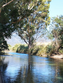 Calm river with trees along banks, mountains in background, sunny day