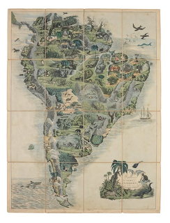 Vintage illustrated pictorial map of South America with animals and ships