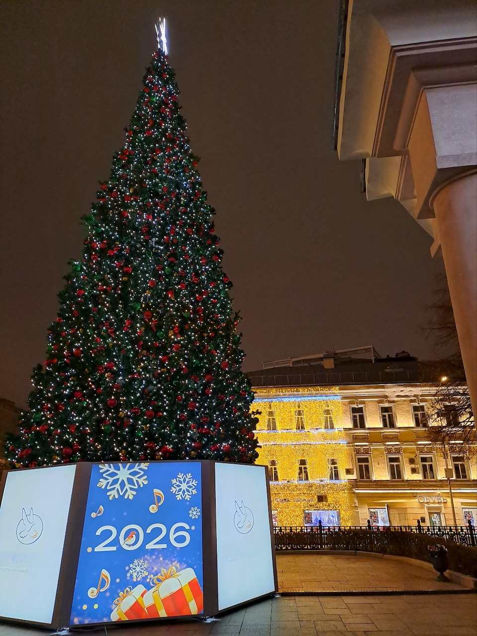 Tall Christmas tree with colorful lights in city square at night, 2026 sign nearby, lit building behind