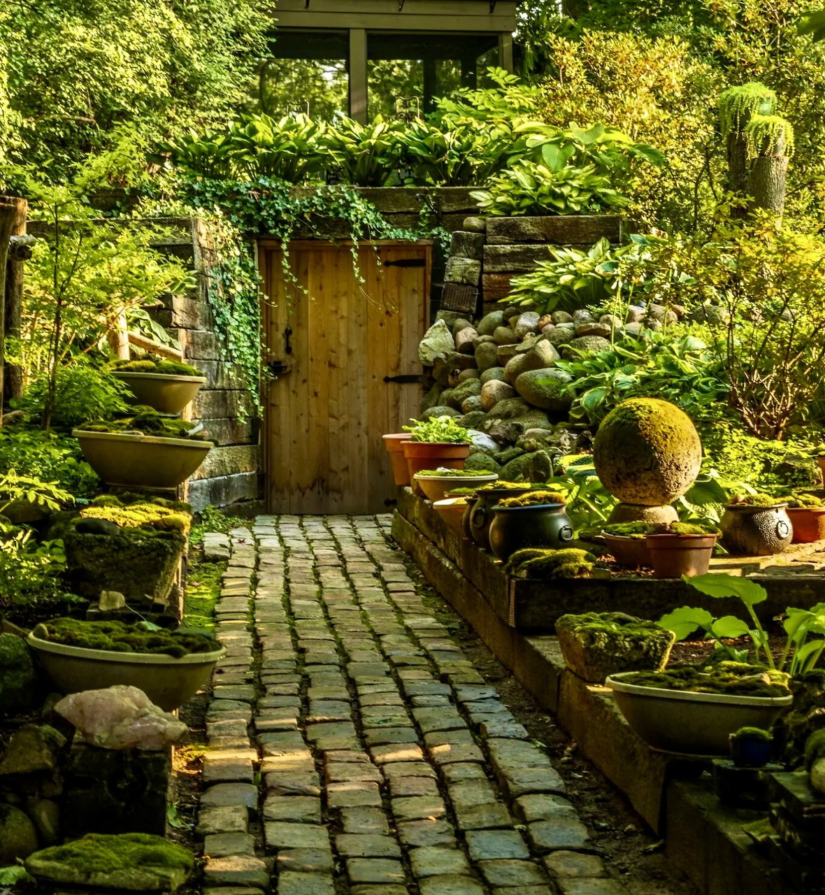 Moss Garden