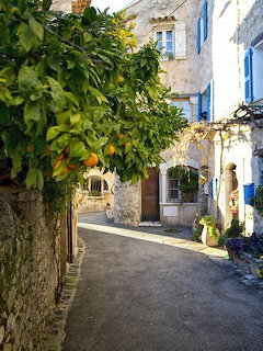 Orange Tree Lane
