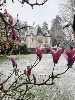 French chateau viewed through pink magnolia buds with snow-covered grounds and gardens