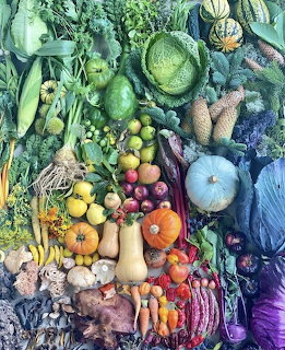 Colorful assortment of fresh vegetables arranged in rainbow gradient from green to purple on dark background