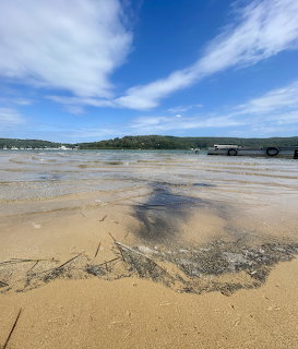Sandy beach with tidal pools, forested headland, and blue sky with clouds