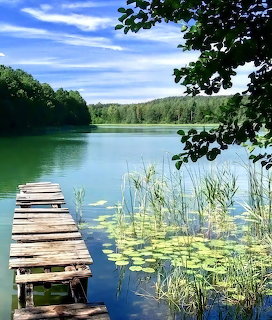 Lovely Lake Scene